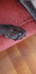 20190812_171200.jpg
