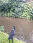 IMG_20190812_154856.jpg