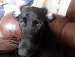 SAM_7266.JPG