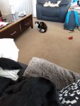 IMG20190821154943.jpg