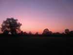 IMG_20190825_203450.jpg