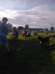 IMG_20190823_183530.jpg