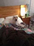 IMG_20190828_061642745.jpg