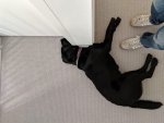 IMG-20190828-WA0000.jpg