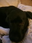 IMG_20190917_200411.jpg