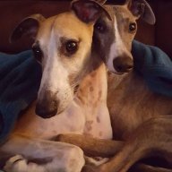 Cooper and Stanley